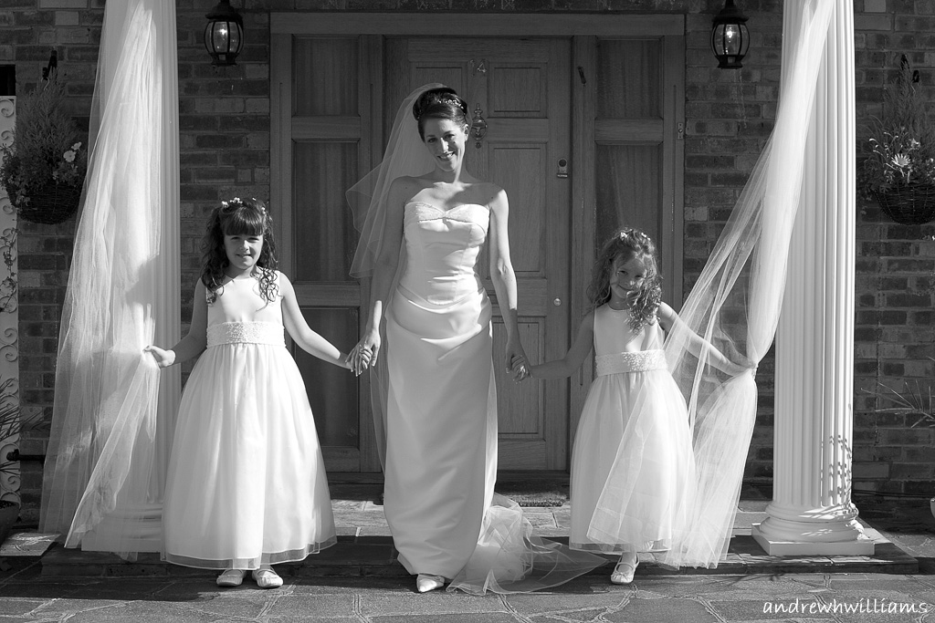 bride-and-bridesmaids-simcha.jpg